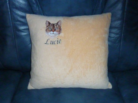 Coussin Lucie